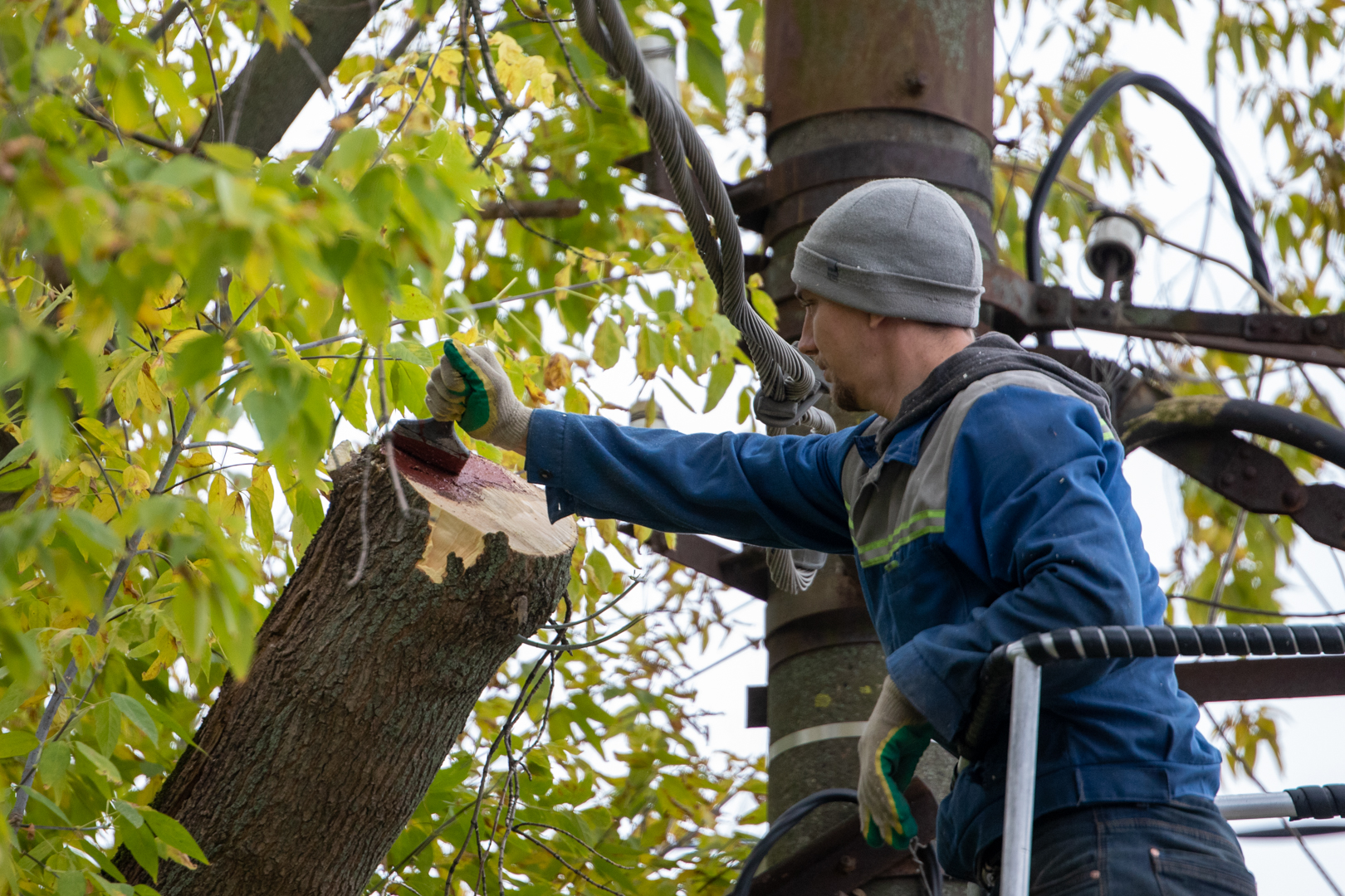 Фото из архива ТСН24