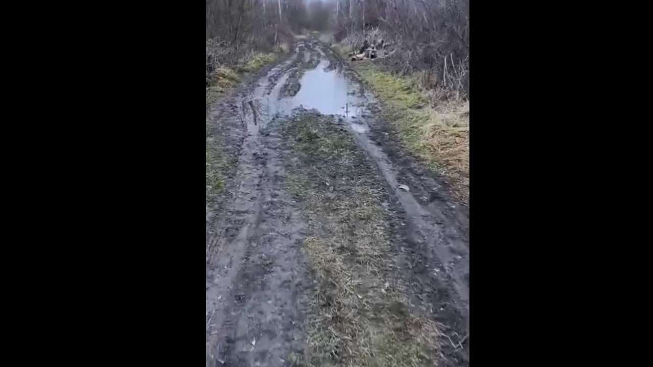Улица Октябрьская осенью. Скрин из видео, предоставленного местными жителями.