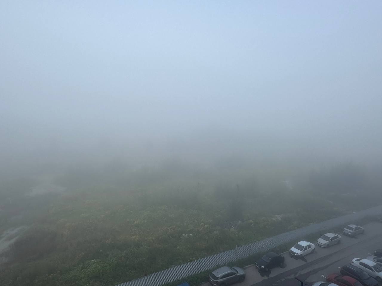 Фото: Тульская служба новостей