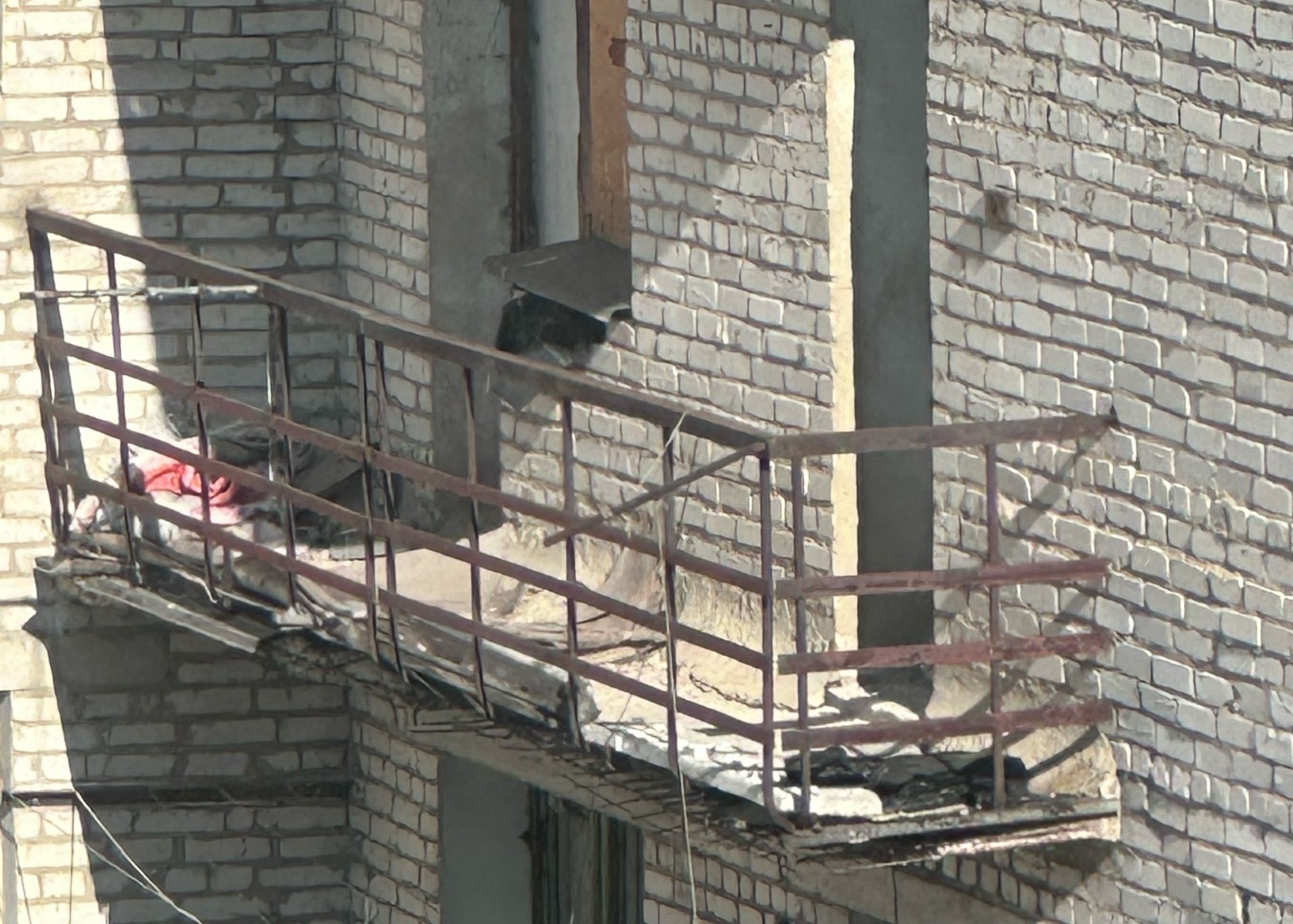 Фото: предоставлено жильцами дома