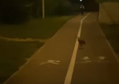 Подслушано в Туле/ Дмитрий Абдулин