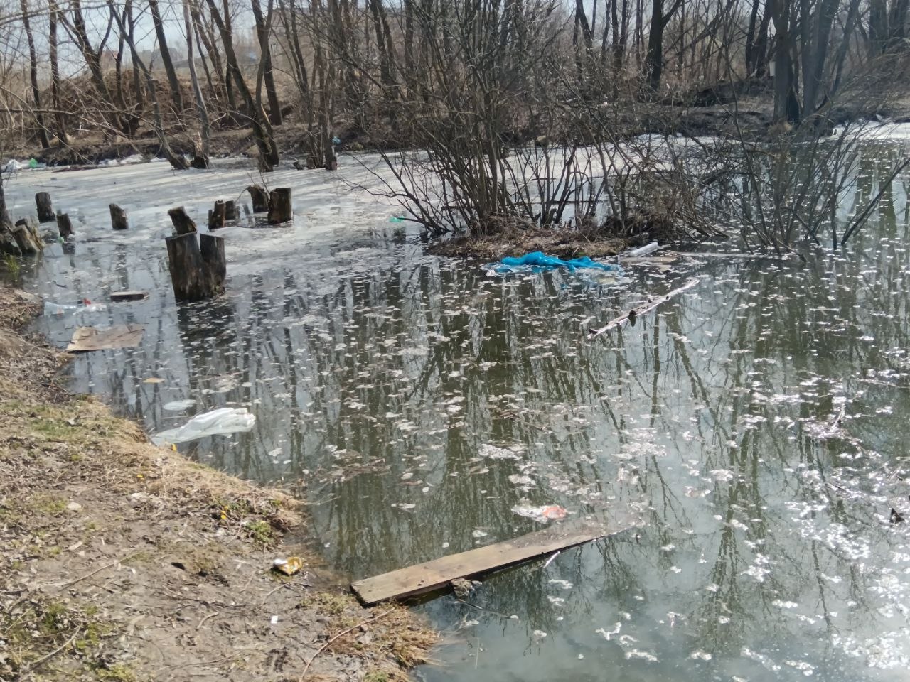Фото: Тульская служба новостей