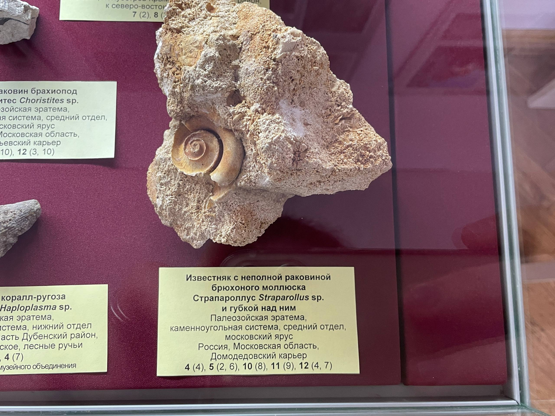 Фото: Тульская служба новостей