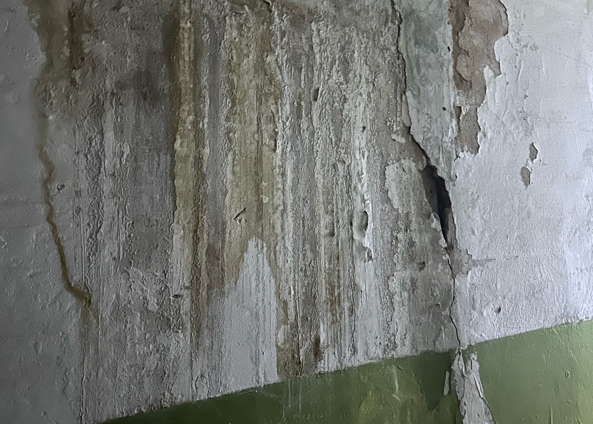 Фото: предоставлено жильцами дома