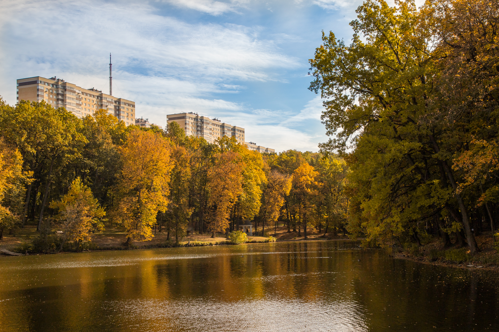 Фото: Вид из Платоновского парка на Зеленстрой. Тульская служба новостей