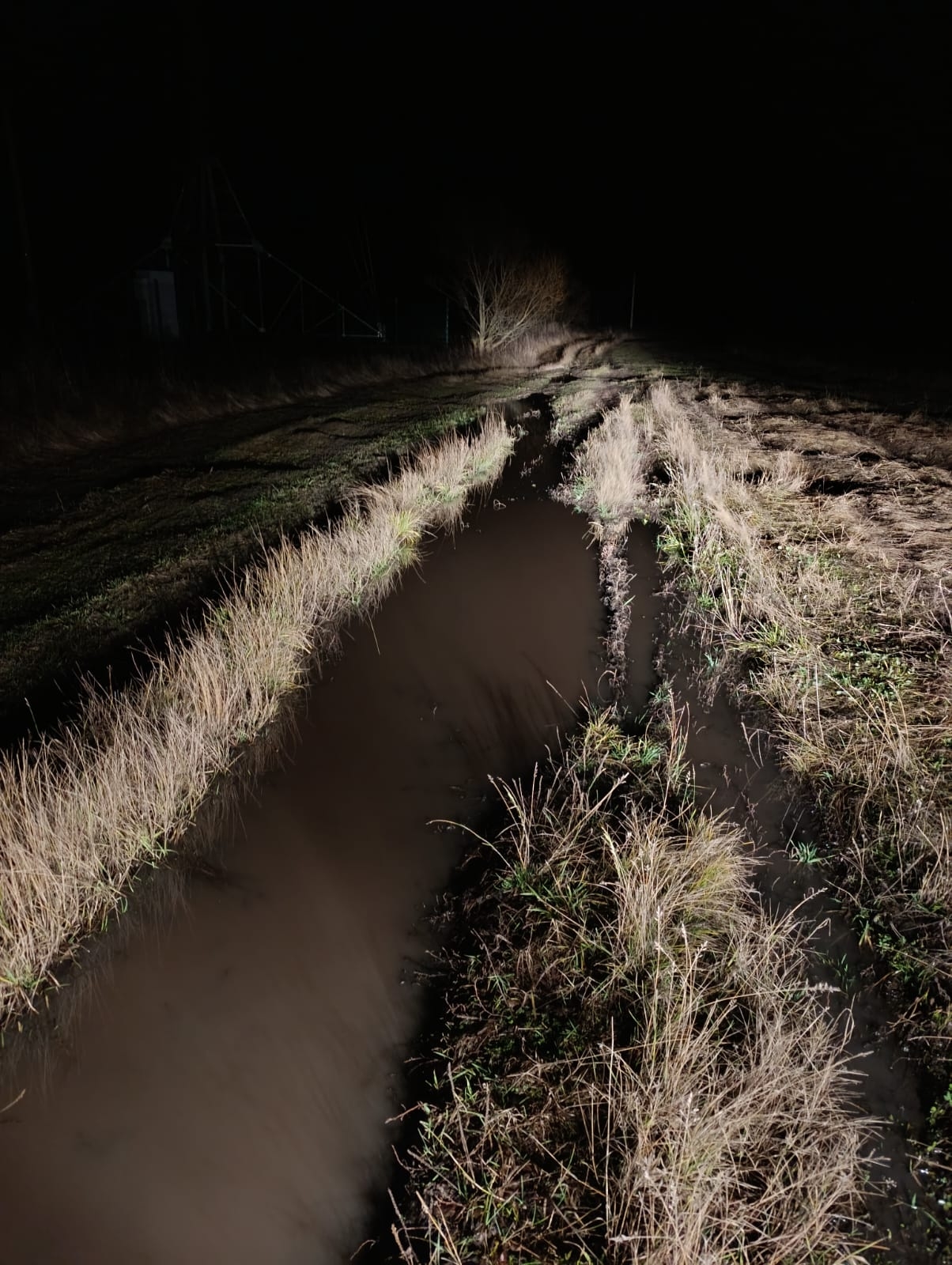 Фото предоставлено местными жителями.