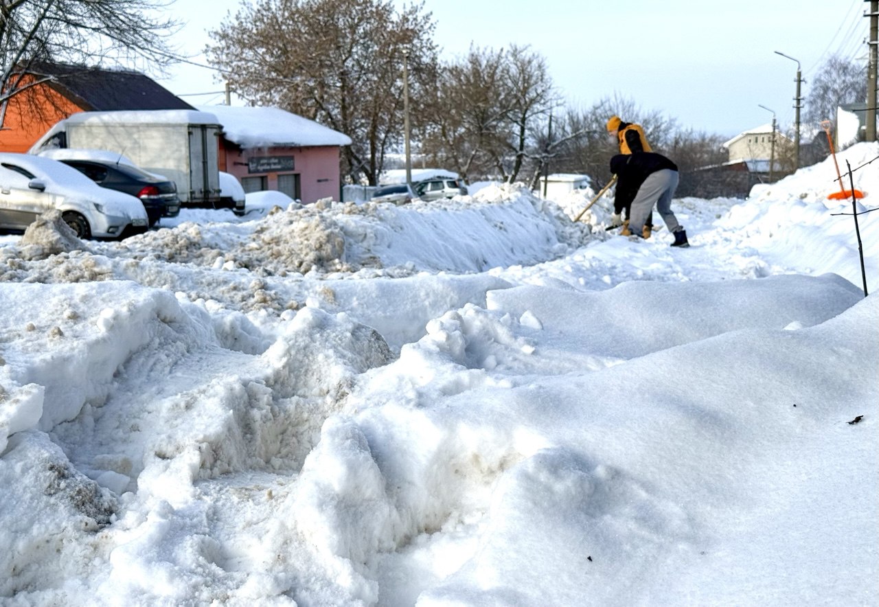 Фото: Тульская служба новостей