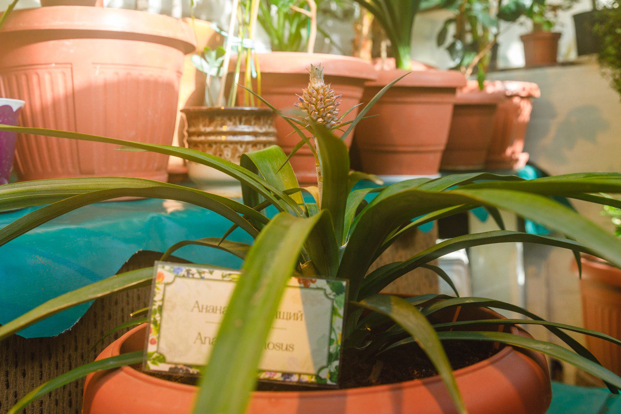 Фото: музей-усадьба «Ясная Поляна» 