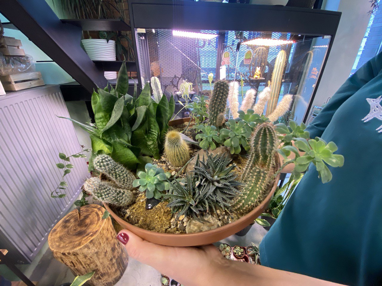 Фото: Тульская служба новостей