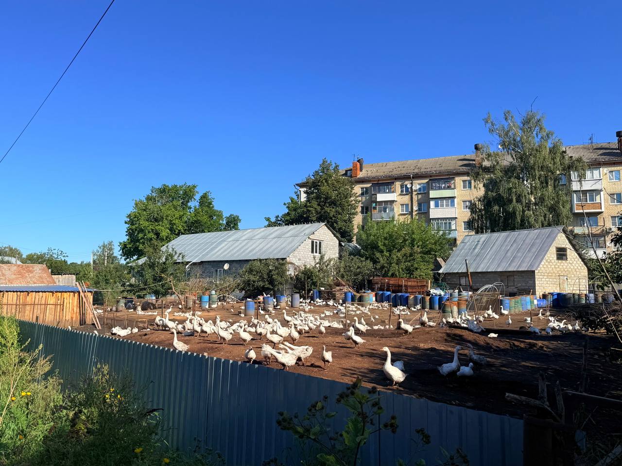 Фото: Тульская служба новостей