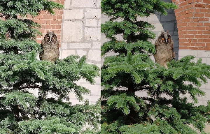 Тульское музейное объединение