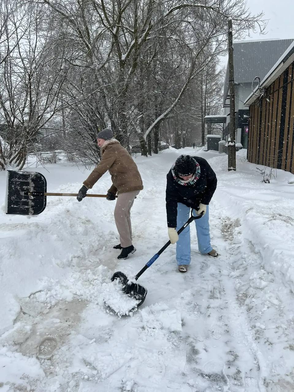 Фото: телеграм-канал Дмитрия Миляева