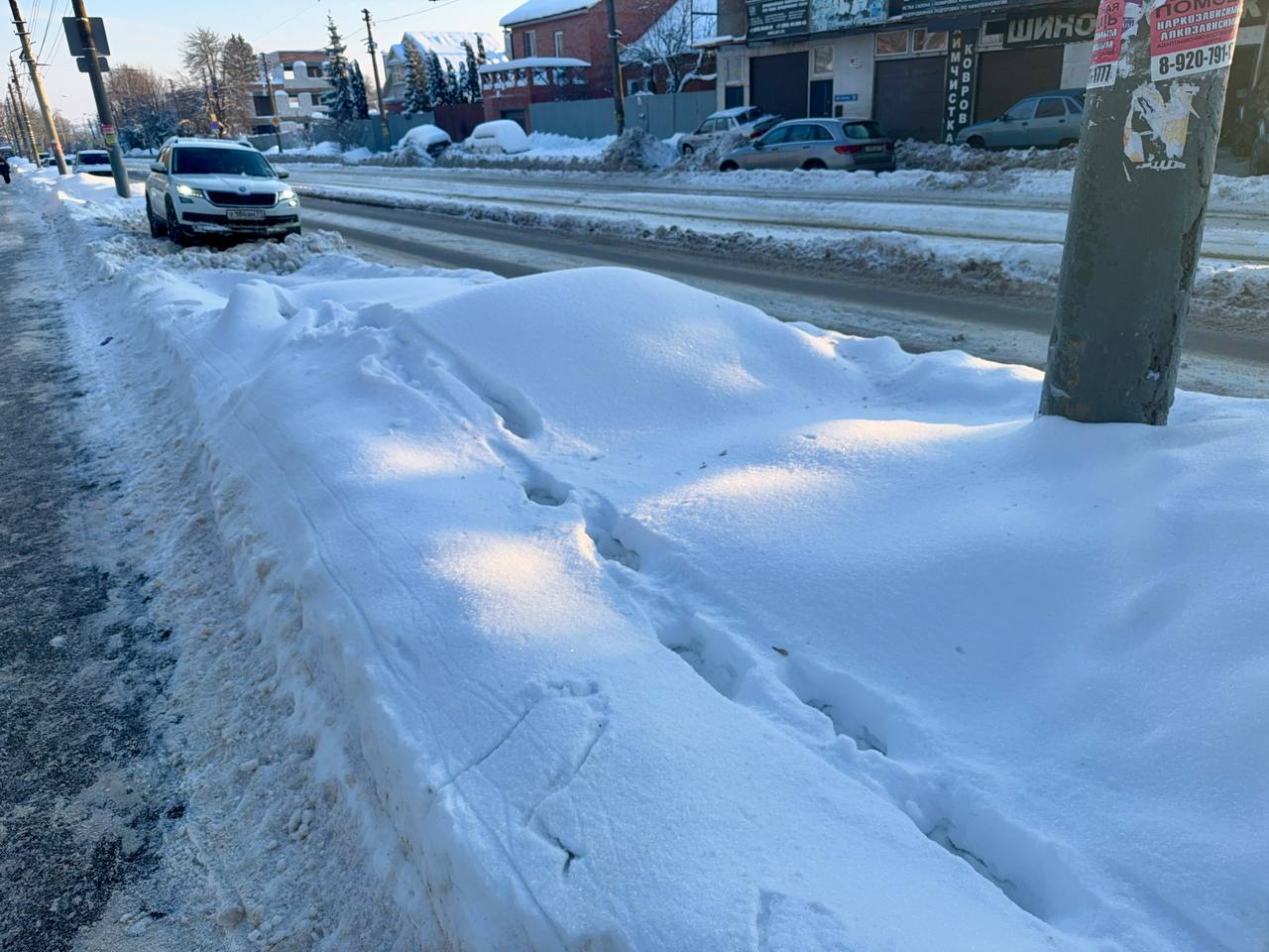 Фото: Тульская служба новостей
