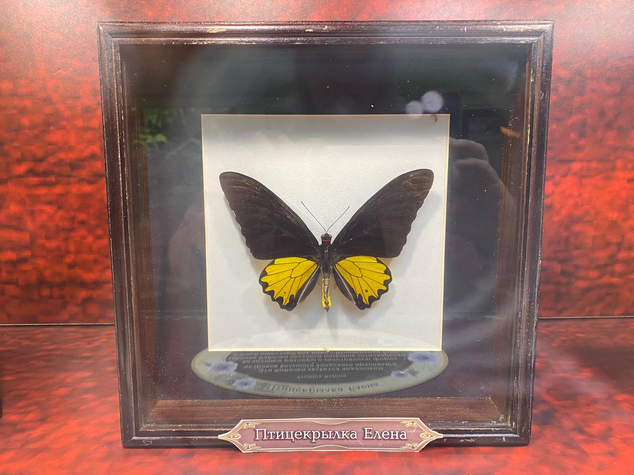 Фото: Тульская служба новостей