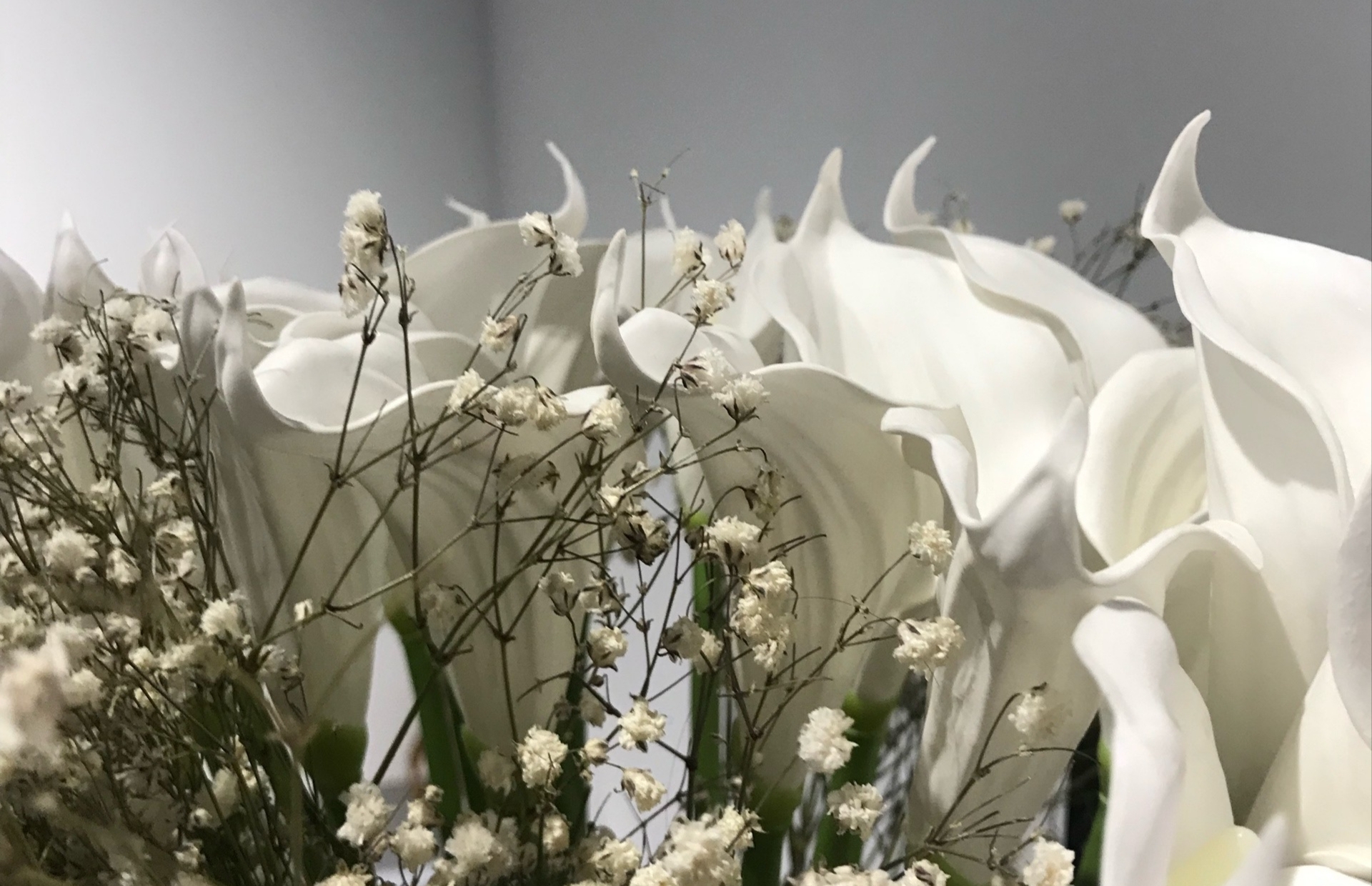 Фото: Наталья Хохлова