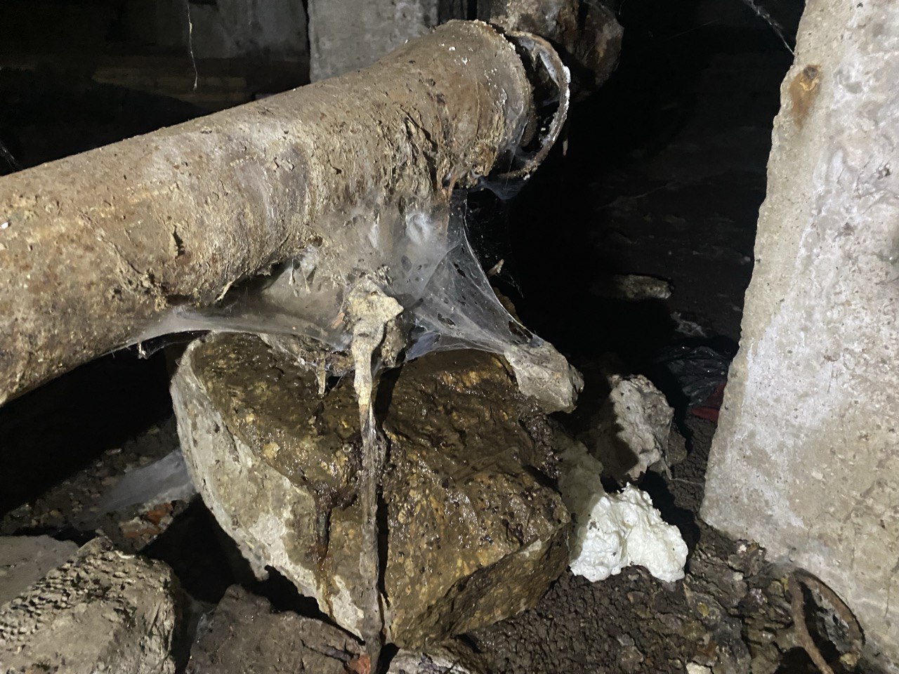 Фото: Тульская служба новостей