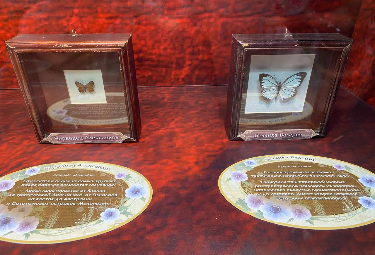 Фото: Тульская служба новостей