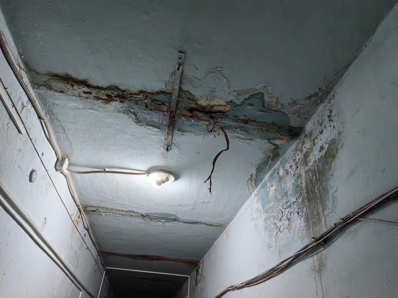 Фото: предоставлено жильцами дома