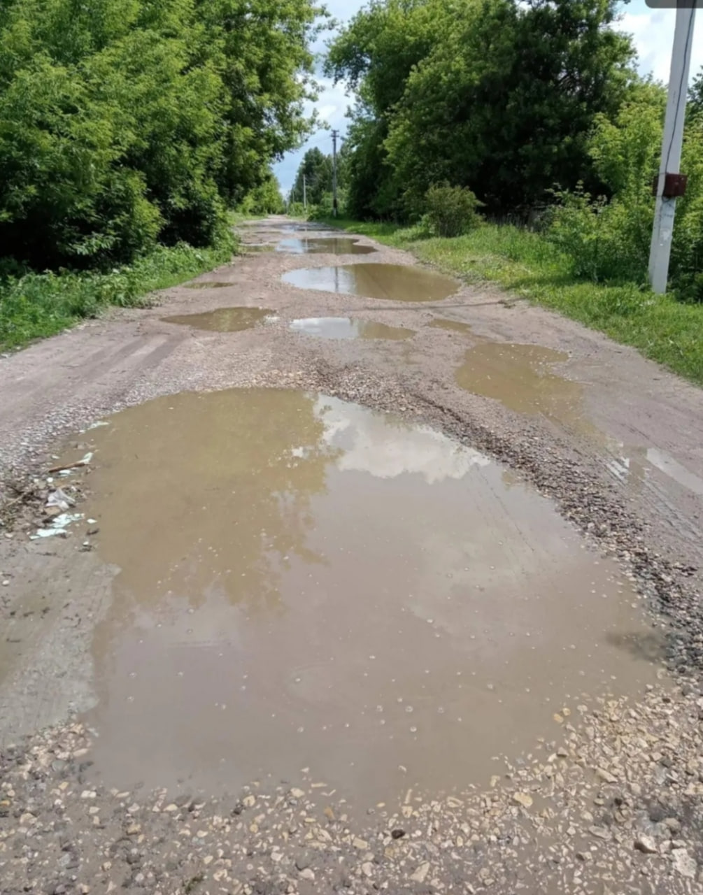 Улица Епифанская летом. Фото предоставлено местными жителями.