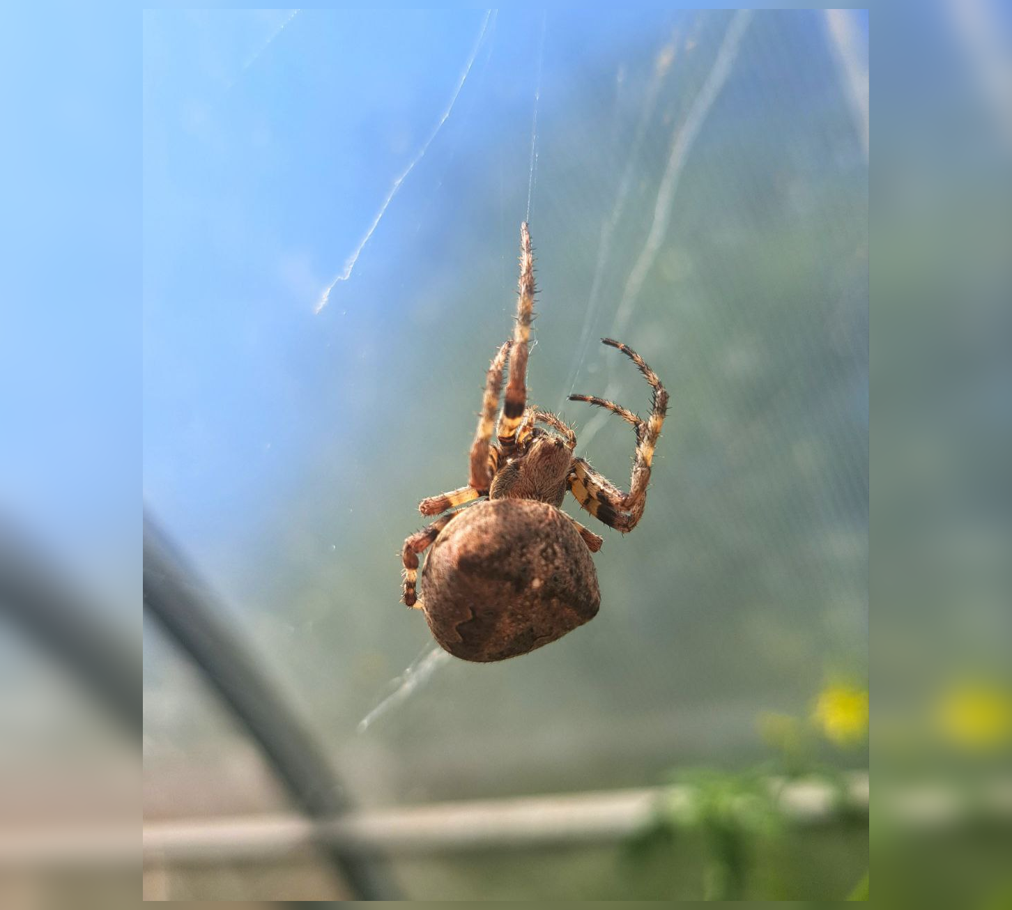 Фото от Елены Никулиной