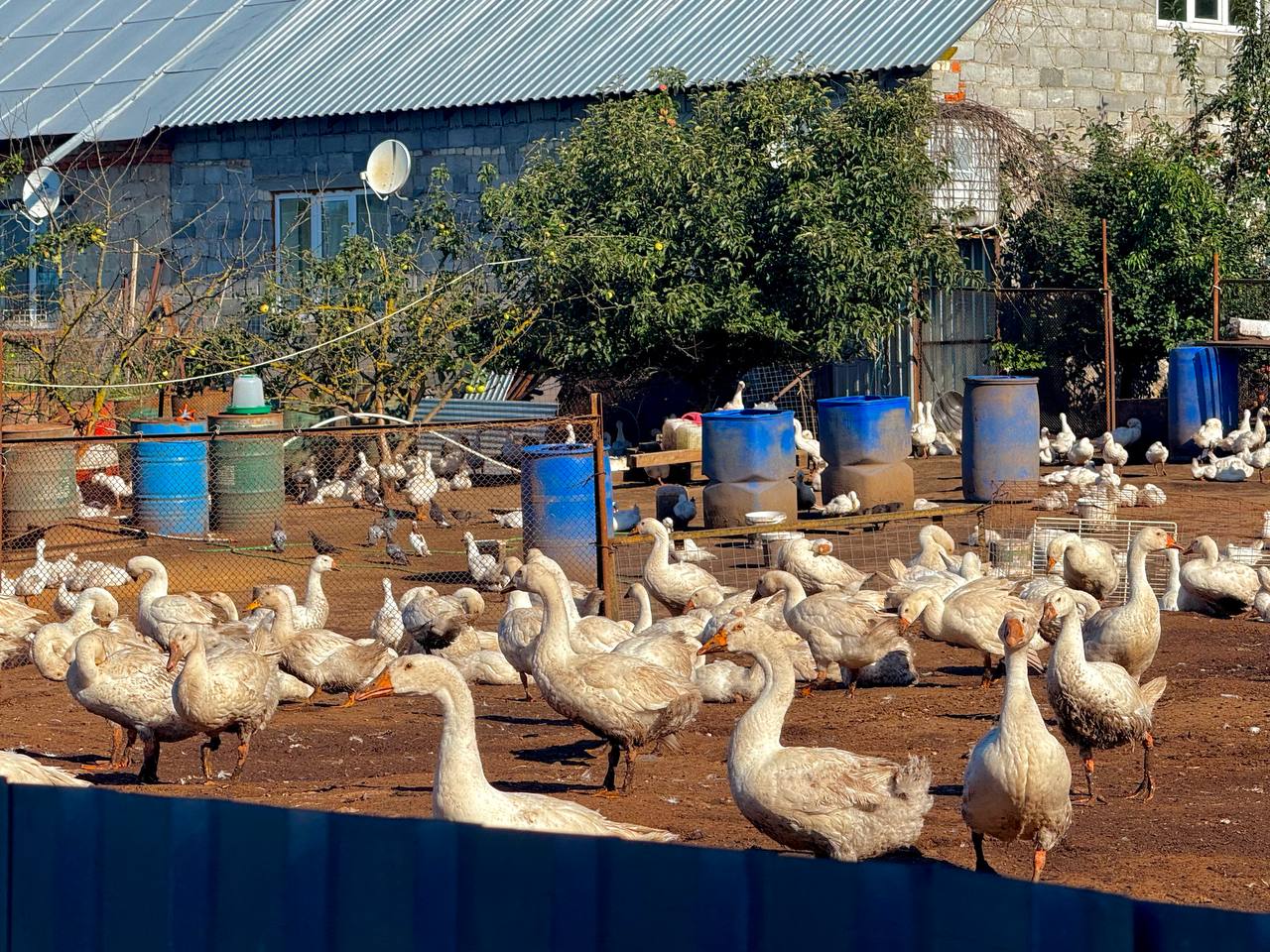 Фото: Тульская служба новостей