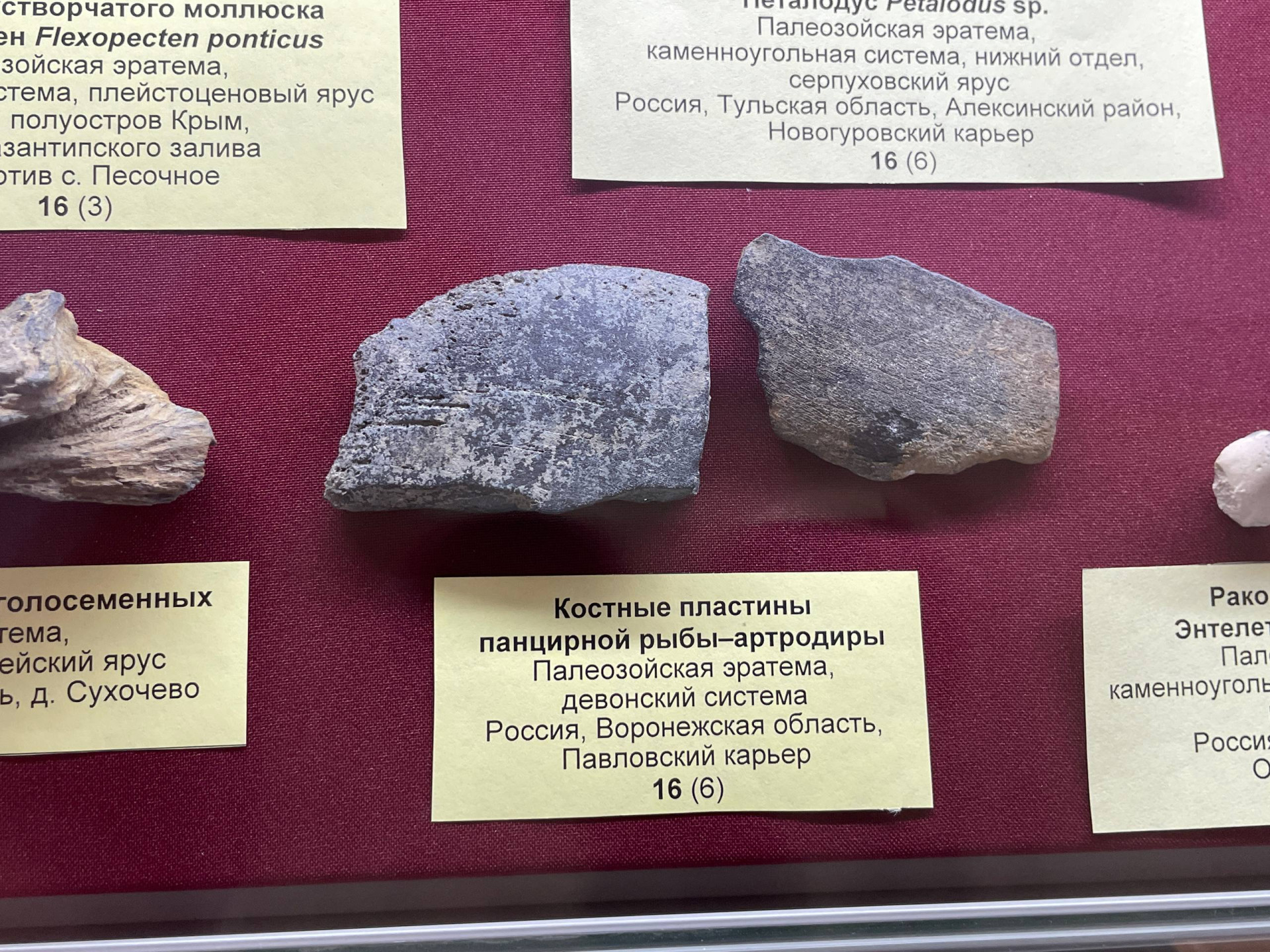 Фото: Тульская служба новостей