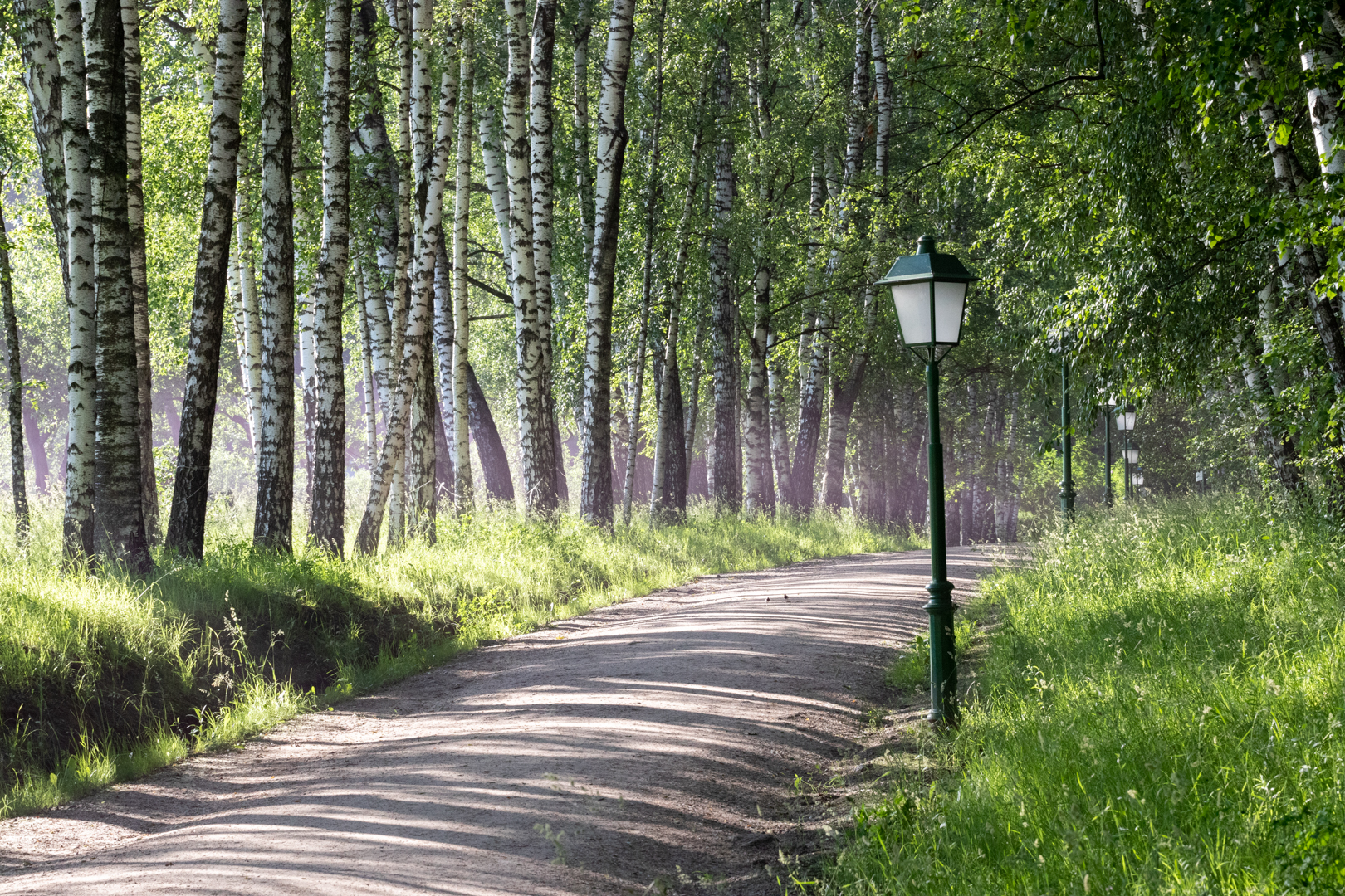 Фото: Тульская служба новостей