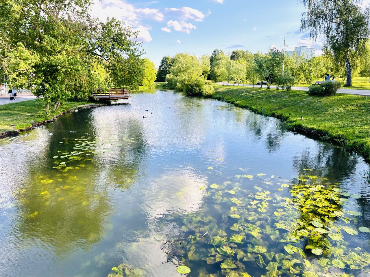Фото: Тульская служба новостей