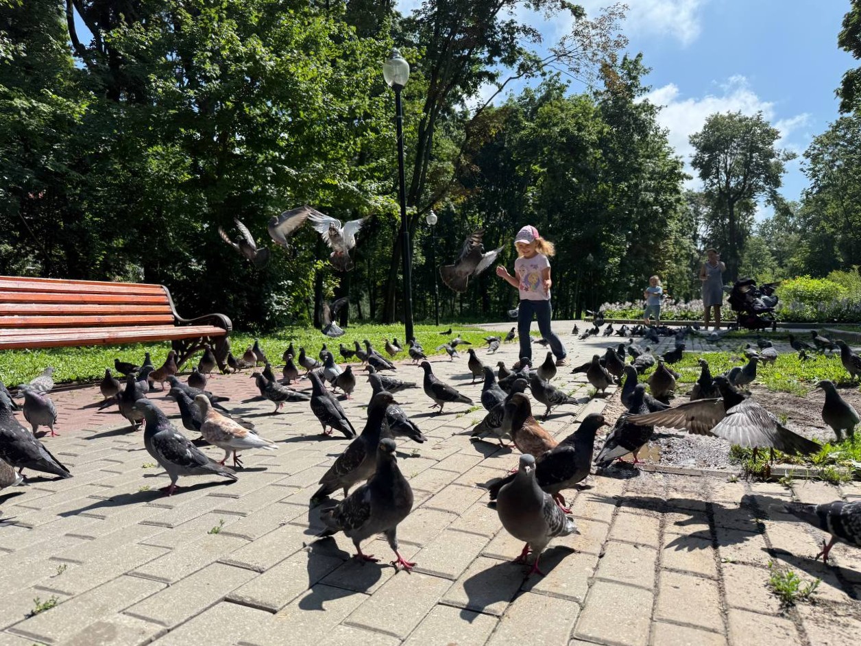 Фото: Тульская служба новостей