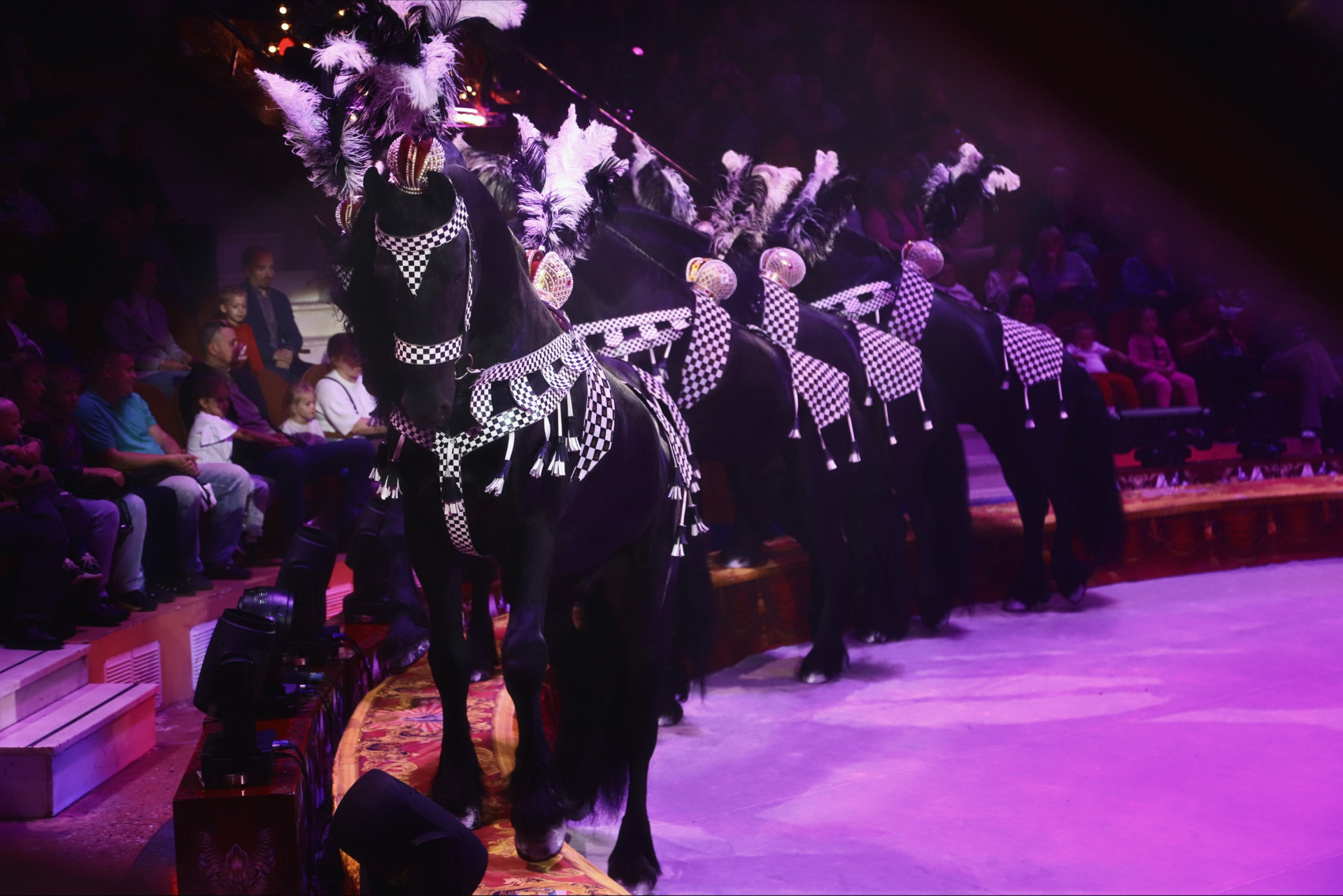 Фото: Тульская служба новостей