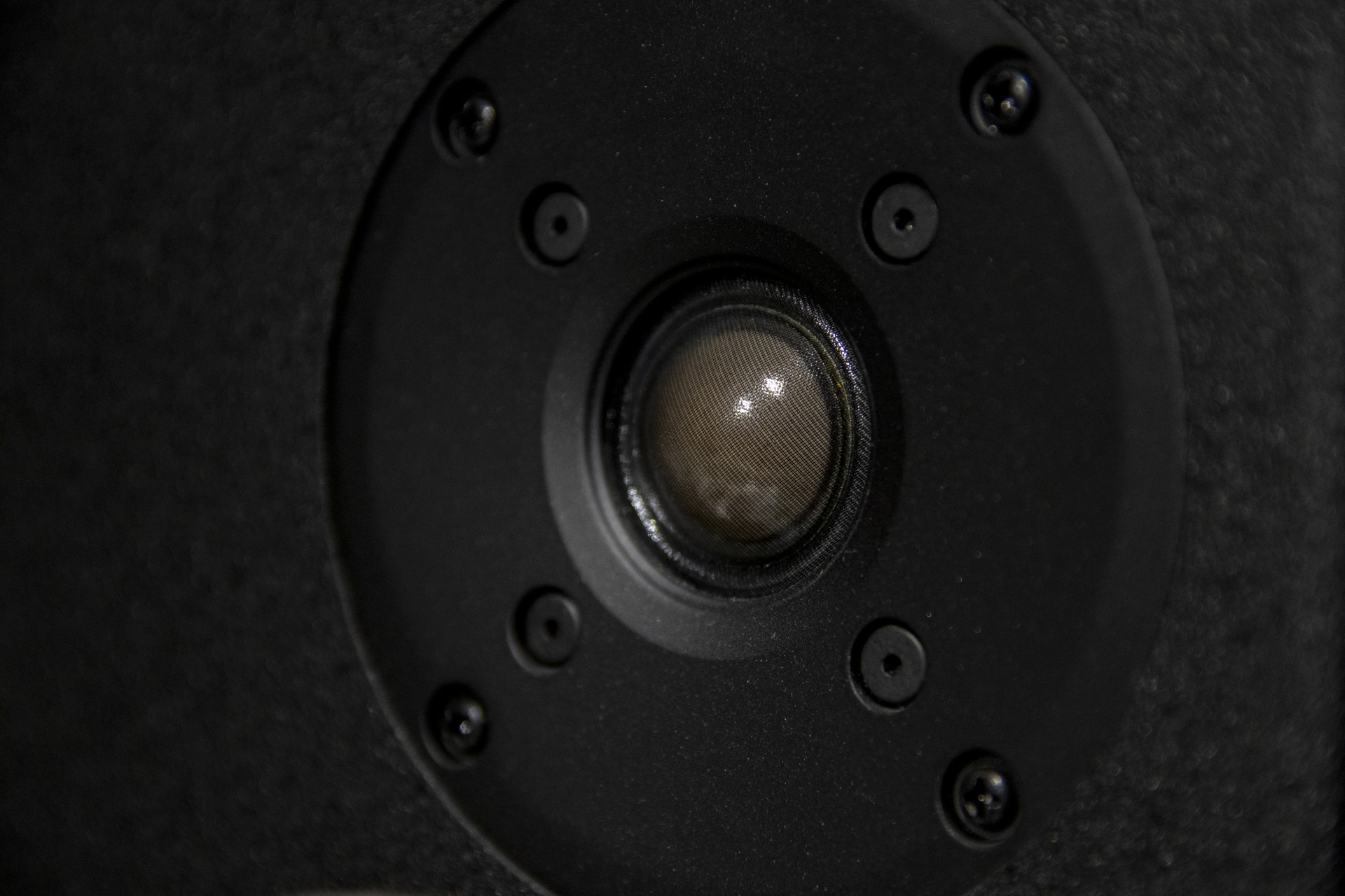 Фото: Тульская служба новостей