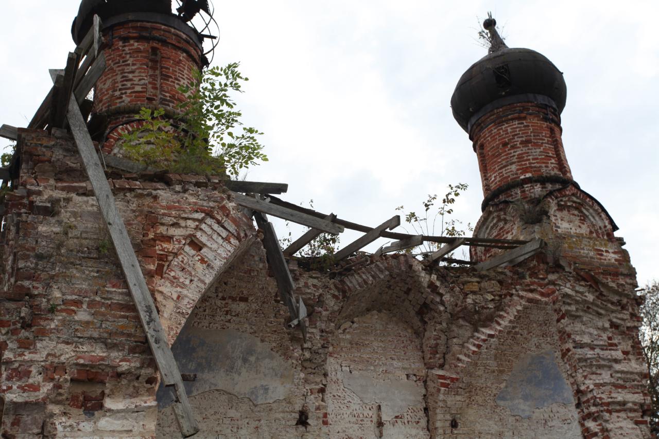 Фото: Telegram-канал проекта «Консервация»