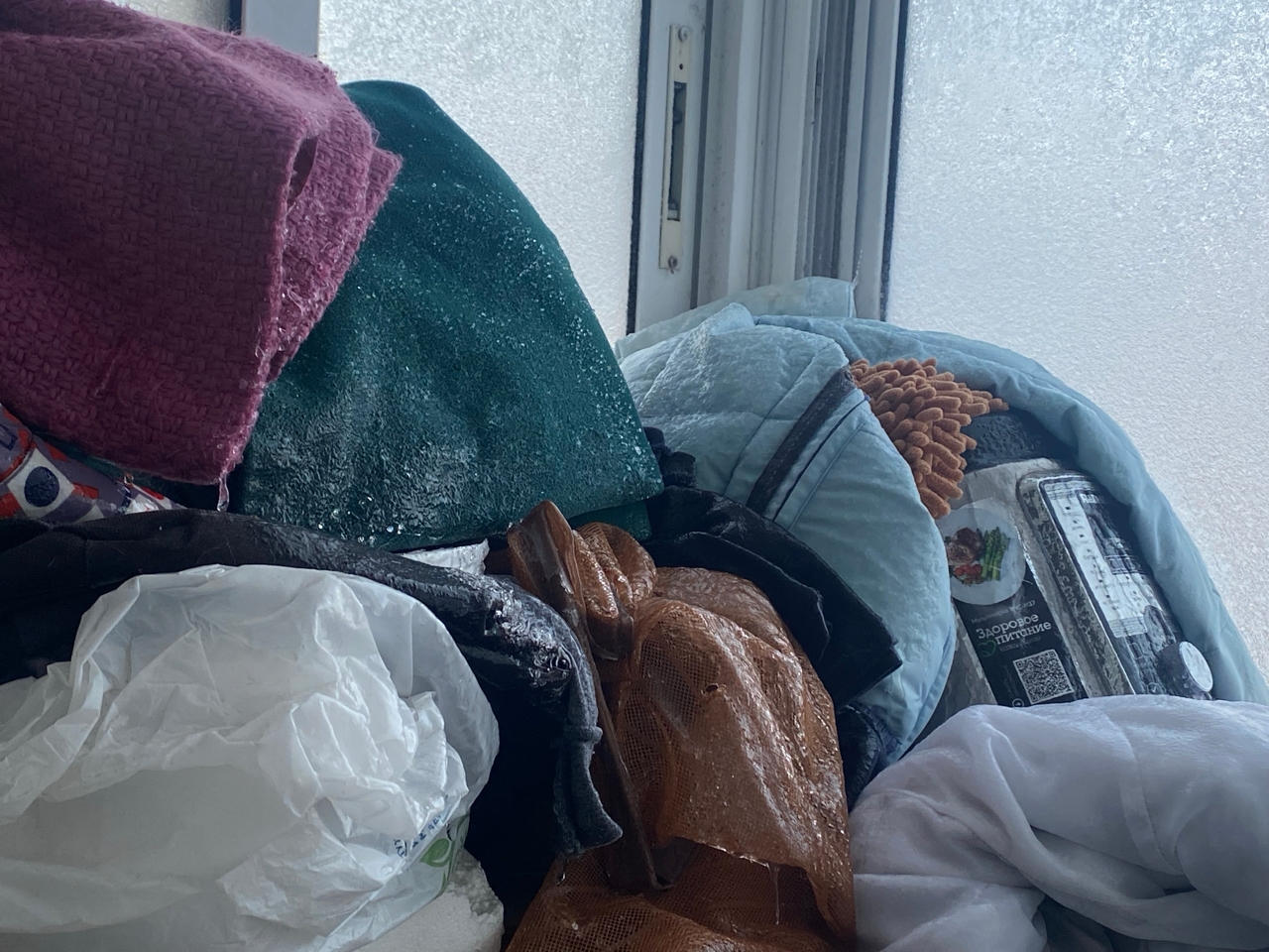 Фото: Тульская служба новостей