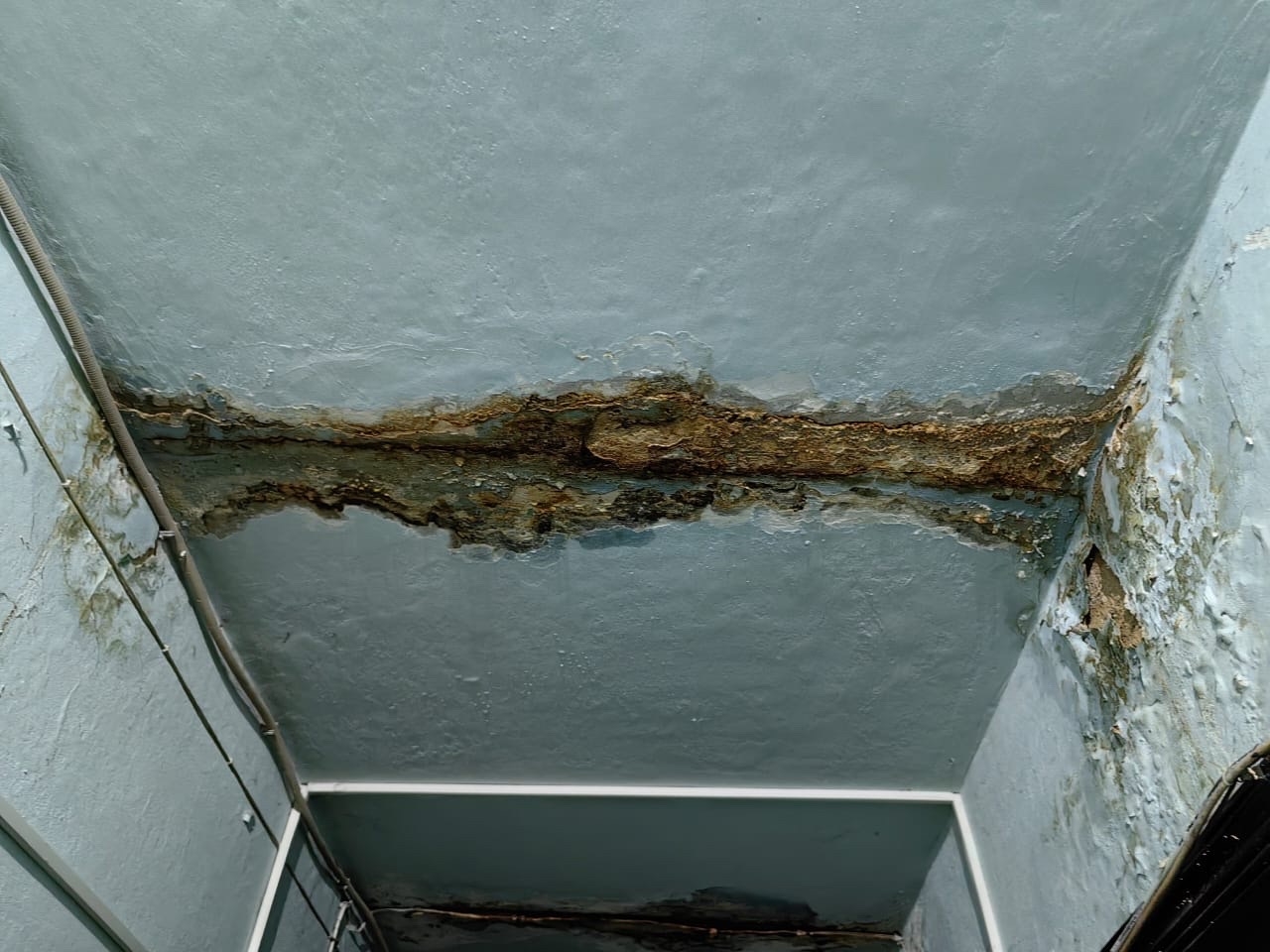 Фото: предоставлено жильцами дома