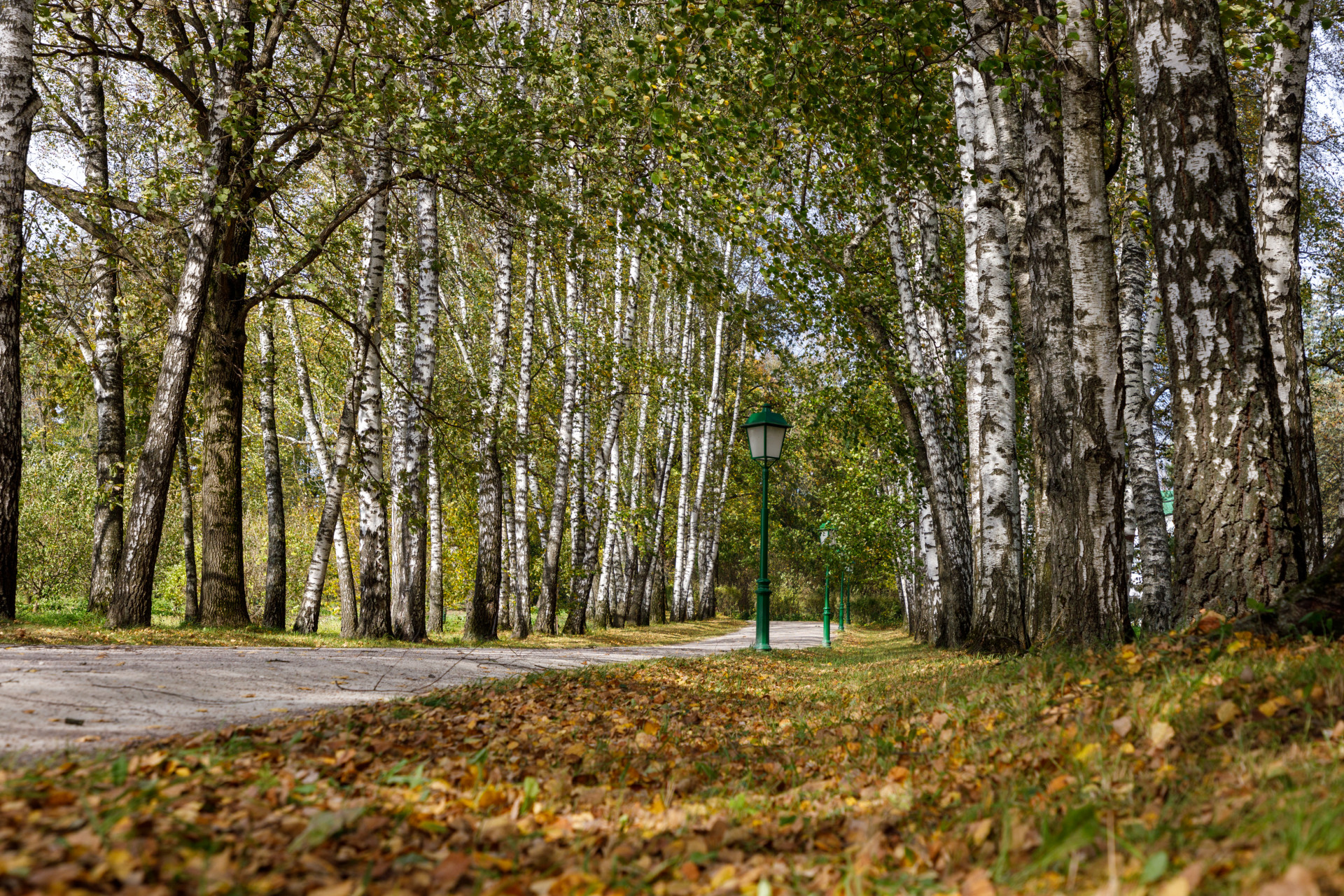 Фото: Тульская служба новостей