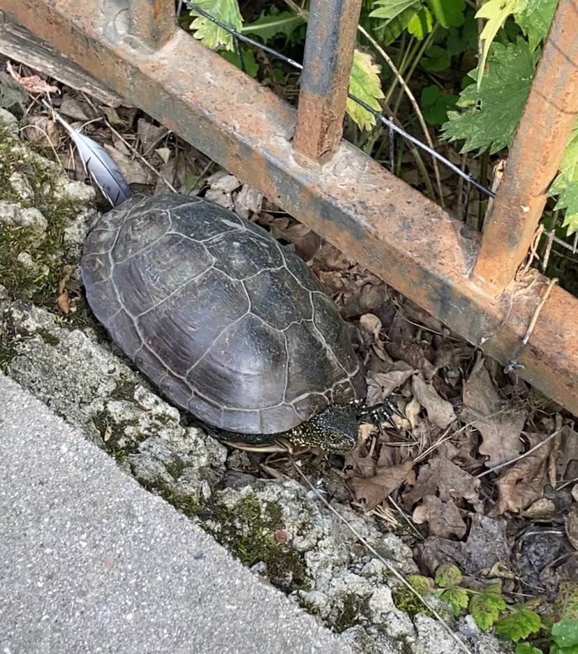 Фото: Тульская служба новостей (из архива)