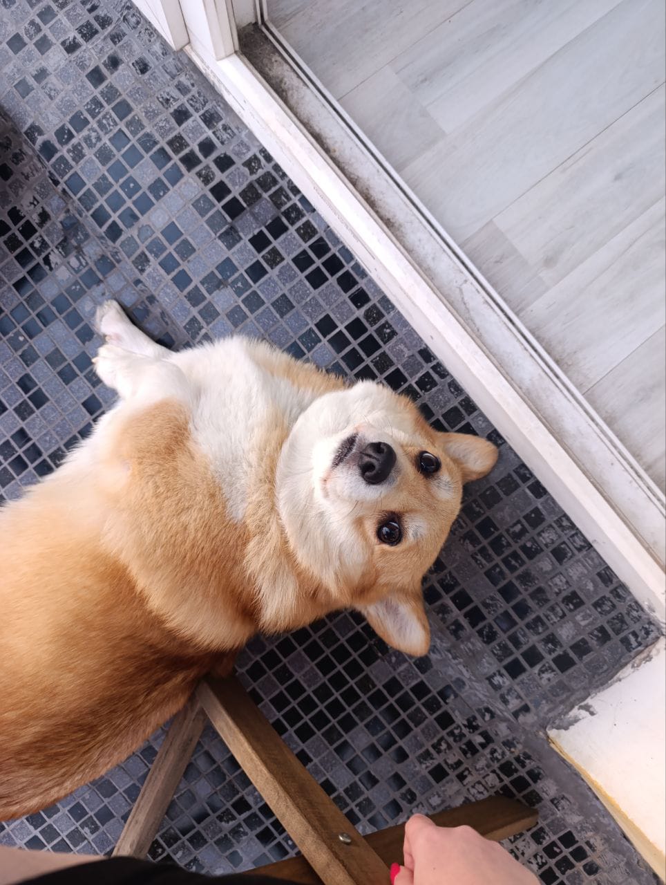 Фото предоставлено Александрой Кочережниковой.