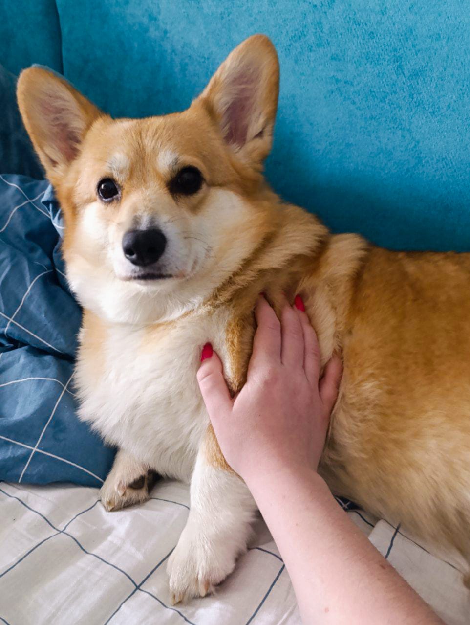 Фото предоставлено Александрой Кочережниковой.