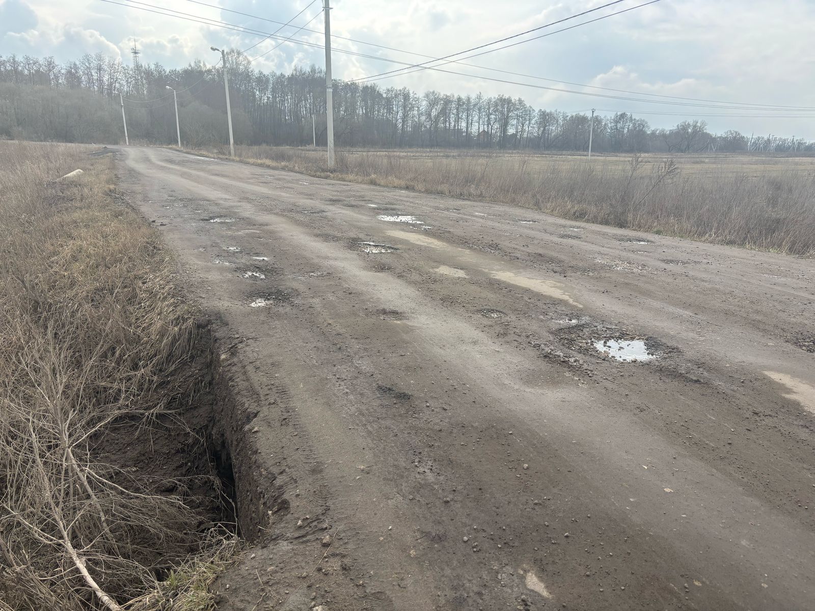 Фото: Тульская служба новостей