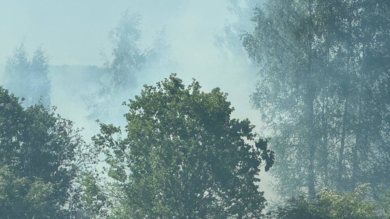 Фото: Тульская служба новостей