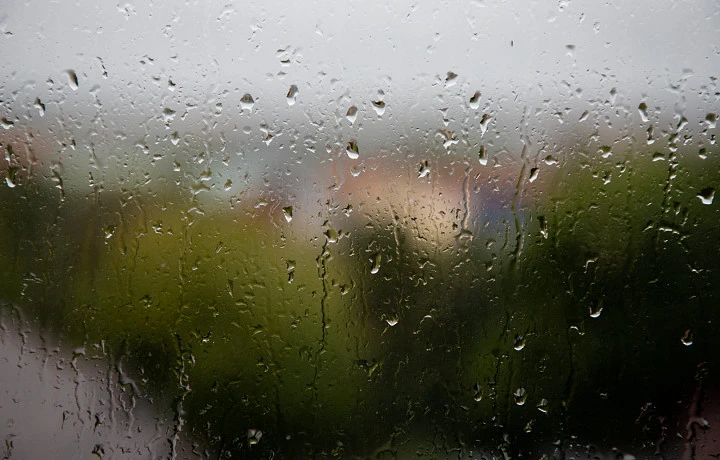 В Тульской области 31 марта пройдет дождь