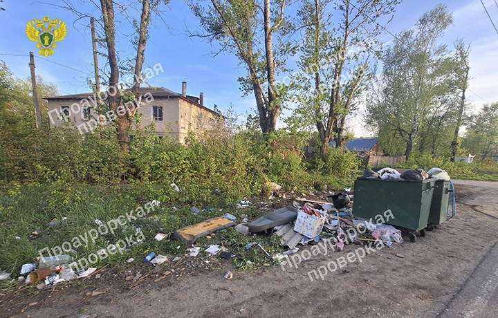 Прокуратура потребовала организовать контейнерную площадку в поселке Щекинского района Прокуратура потребовала организовать контейнерную площадку в поселке Щекинского района
