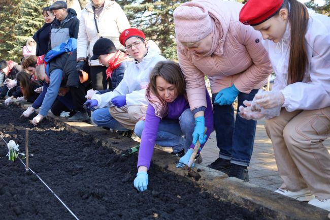 Жители Новомосковска высадили крокусы в память о жертвах теракта