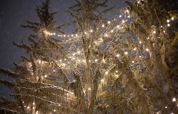 В ночь на 24 декабря в Тульской области похолодает