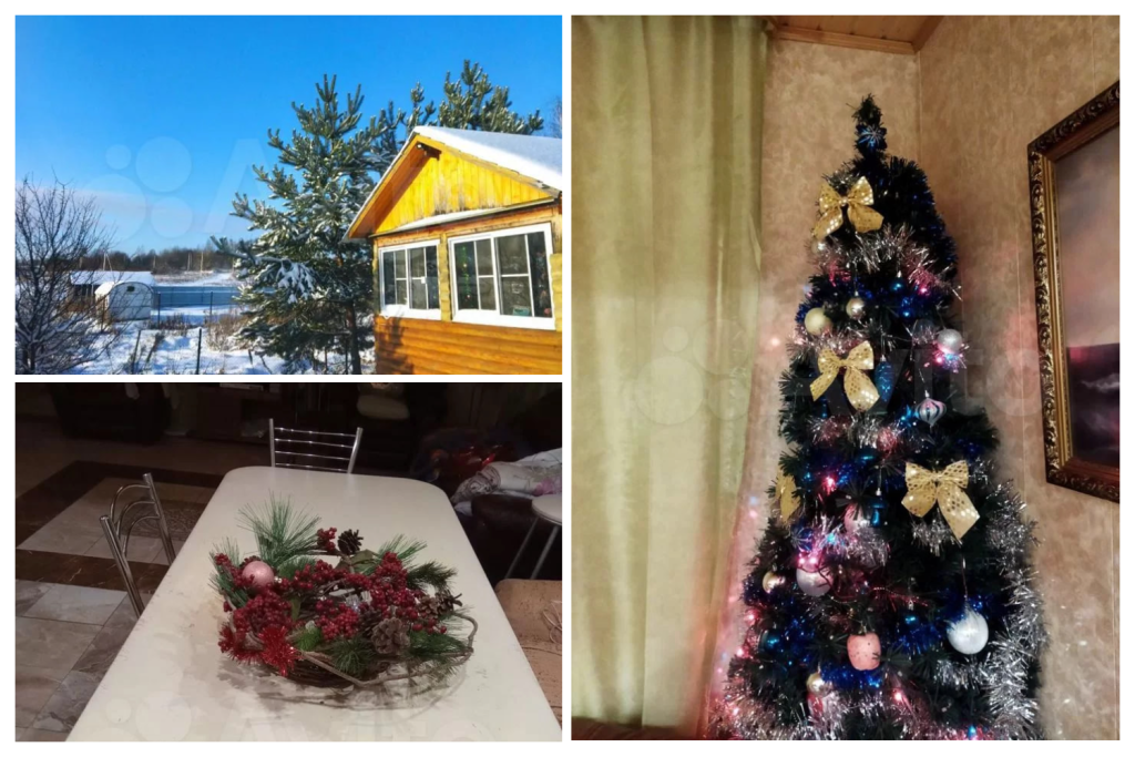 collage (27).png