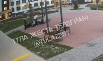Стало известно состояние девочки, упавшей с качели в Туле