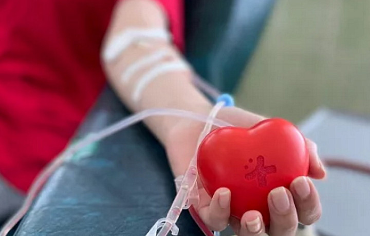 260 туляков сдали кровь в рамках Дня донорского совершеннолетия