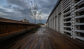 До +9 градусов и пасмурно: стало известно, какая погода будет в Туле и области 8 ноября