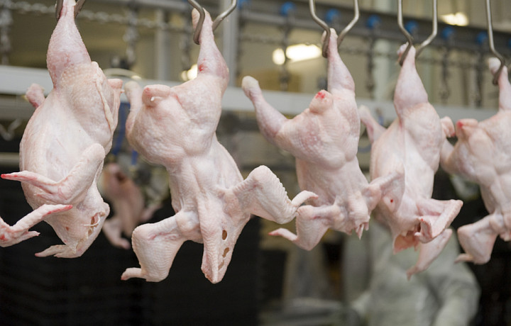 Производитель из Тульской области незаконно повышал срок годности мяса птицы