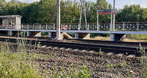 Тульская железная дорога получила скоростной мобильный интернет в двух районах